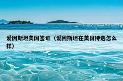 爱因斯坦美国签证（爱因斯坦在美国待遇怎么样）