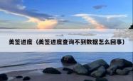美签进度（美签进度查询不到数据怎么回事）