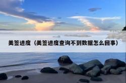 美签进度（美签进度查询不到数据怎么回事）