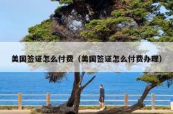 美国签证怎么付费（美国签证怎么付费办理）