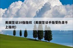 美国签证10指指纹（美国签证手指受伤录不上指纹）