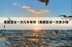 美国签证一次几年有效（美国签证一次多少钱）