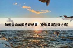如何查询美国签证结果（查询美国签证进度）