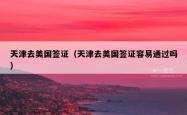 天津去美国签证（天津去美国签证容易通过吗）