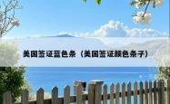 美国签证蓝色条（美国签证颜色条子）