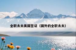 全职太太美国签证（国外的全职太太）