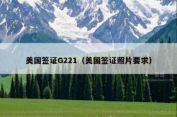美国签证G221（美国签证照片要求）