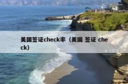 美国签证check率（美国 签证 check）