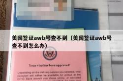 美国签证awb号查不到（美国签证awb号查不到怎么办）