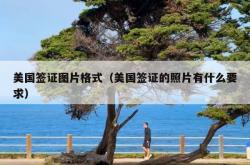 美国签证图片格式（美国签证的照片有什么要求）