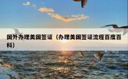 国外办理美国签证（办理美国签证流程百度百科）