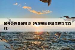 国外办理美国签证（办理美国签证流程百度百科）