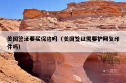 美国签证要买保险吗（美国签证需要护照复印件吗）