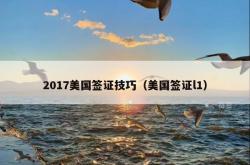 2017美国签证技巧（美国签证l1）