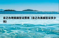 自己办理美国签证费用（自己办美国签证多少钱）