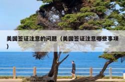 美国签证注意的问题（美国签证注意哪些事项）