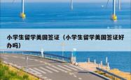 小学生留学美国签证（小学生留学美国签证好办吗）