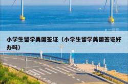 小学生留学美国签证（小学生留学美国签证好办吗）
