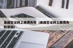 美国签证网上缴费失败（美国签证网上缴费失败原因）