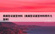 美国签证面签材料（美国签证面签材料照片几张啊）