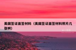 美国签证面签材料（美国签证面签材料照片几张啊）