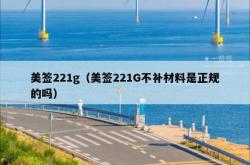 美签221g（美签221G不补材料是正规的吗）