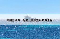 美国签证费一起交（美国签证交费流程）