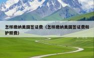 怎样缴纳美国签证费（怎样缴纳美国签证费和护照费）