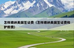 怎样缴纳美国签证费（怎样缴纳美国签证费和护照费）