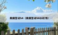 美国签证h4（美国签证h4小红书）