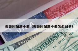 美签网站进不去（美签网站进不去怎么回事）