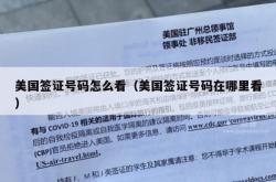 美国签证号码怎么看（美国签证号码在哪里看）