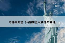 马德里美签（马德里签证要什么条件）
