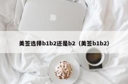 美签选择b1b2还是b2（美签b1b2）