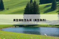 美签保险怎么买（美签条件）