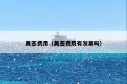 美签费用（美签费用有发票吗）