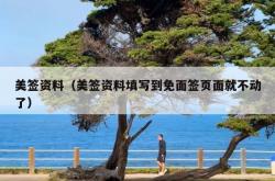 美签资料（美签资料填写到免面签页面就不动了）