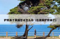 护照丢了美国签证怎么办（在美国护照丢了）