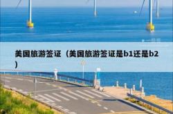 美国旅游签证（美国旅游签证是b1还是b2）
