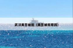 武汉美签被拒（美签被拒原因）
