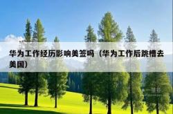 华为工作经历影响美签吗（华为工作后跳槽去美国）