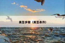 美签步骤（美签条件）