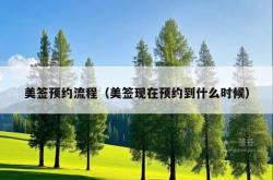 美签预约流程（美签现在预约到什么时候）