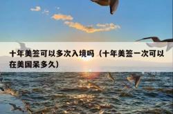 十年美签可以多次入境吗（十年美签一次可以在美国呆多久）