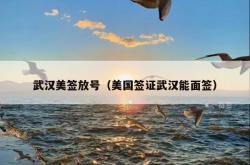 武汉美签放号（美国签证武汉能面签）