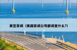 美签背调（美国背调公司都调查什么?）