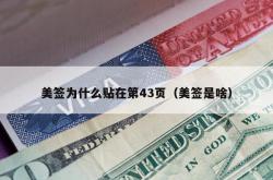美签为什么贴在第43页（美签是啥）