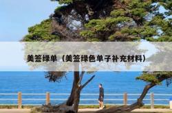 美签绿单（美签绿色单子补充材料）
