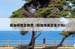 新加坡美签缴费（新加坡美签多少钱）