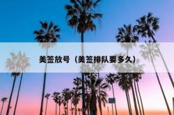 美签放号（美签排队要多久）